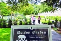 ভয়ঙ্কর সৌন্দর্য একটি বিষাক্ত বাগান!