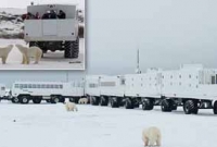 ভাল্লুকের রাজধানীতে মানুষের বাস