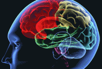 ভাষা হারিয়ে যায় না