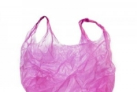 পলিথিন বুলেটিন