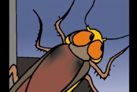 বিপদগ্রস্ত থেকে রক্ষা করবে রোবট তেলাপোকা