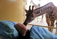 জিরাফের নামের মূল্য ৫০ হাজার মার্কিন ডলার!