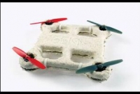 ছত্রাক থেকে ড্রোন