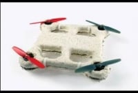 ছত্রাক থেকে ড্রোন