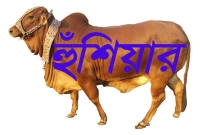 কোরবানির দিনে ছোট্ট এই ভুলটিতে আল্লাহর আরশ কেঁপে ওঠে