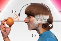 সুর শুনেই রং চিনেন যে শিল্পী