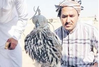 ৪২ লাখ টাকার ঈগল! 