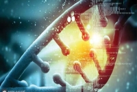 আমাদের শরীরে বহুকামীতার জিন