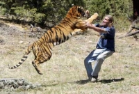 ছাত্রের কুস্তির চ্যালেঞ্জে লেজ গুটিয়ে পালাল বাঘ!