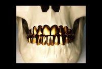 কবরে সোনার দাঁত! 