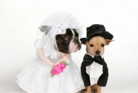 কিছু অবাস্তব বিয়ে!