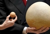 বিশ্বের সর্ববৃহৎ ডিম, দাম ৬৪ লাখ