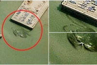 ইতিহাসের সর্ববৃহৎ কাঁকড়া! 