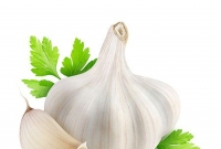 রসুনের উপকারী গুনাগুণ 