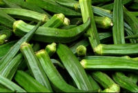 ঢেঁড়স নিয়ে যত কথা 