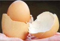 ডিমের ভেতরে ডিম!