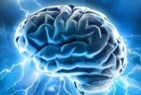 মস্তিষ্ক ছাড়াই ৮৮ বছর!