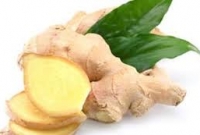 ক্যানসারের বিরুদ্ধেও লড়াই করে আদা!