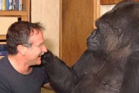 রবিনের মৃত্যুতে কোকো’র চোখে জল! (ভিডিওসহ)