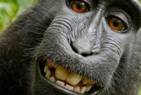 ছবি তুলে চমকে দিল সুন্দরী!