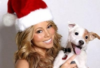 দেড় কোটি টাকা ব্যয় কুকুরের বিনোদনে!