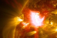 খোঁজ মিলল সূর্যের হারিয়ে যাওয়া ভাইয়ের