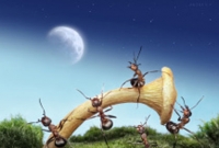 পৃথিবীর পরিবেশ পাল্টে দিতে পারে পিঁপড়া!