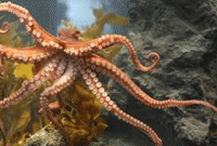 সন্তানের মুখ দেখতে সাড়ে চার বছর ডিমে তা