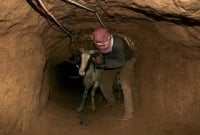 জীবন সুড়ঙ্গ পথ!