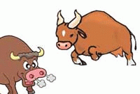 ষাঁড়-গরুর লড়াইয়ে ট্রেন লাইনচ্যুত