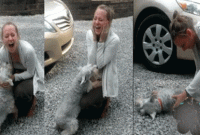 দু'বছর পর মালিককে দেখে কাঁদল কুকুর!