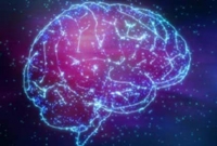 প্রযুক্তি যেভাবে আপনার বুদ্ধি কমিয়ে দিচ্ছে!