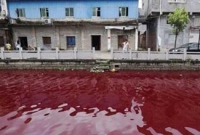 রক্ত নদী!