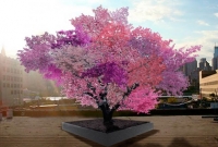 শিল্পীর গাছে ৪০ জাতের ফল!