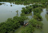 বন্যপ্রাণীর অভয়ারণ্য ‘জলাবন’