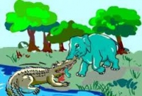 কুমিরের সঙ্গে লড়াই!