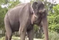 মুক্তির পর অশ্রু ঝরছিল রাজুর!