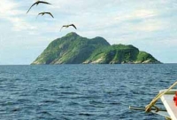 ২০ মাইলজুড়ে ‘সাপের দ্বীপ’