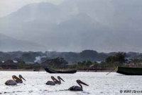 কী নেই ভিরুঙ্গা পার্কে!