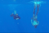 পানির নিচে ৩১ দিন! 