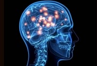 মস্তিষ্ক সতেজ রাখে একাধিক ভাষা 