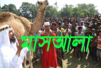 জেনে নিন, কোরবানি করার সর্বোত্তম পদ্ধতি