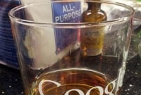 ৩৪ ডলারে গুগল গ্লাস! 