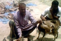 একসঙ্গে ৭ বাচ্চা! 