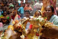 ব্যাঙের বিয়ে! 