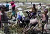 ইঁদুর খাওয়া মানুষ 