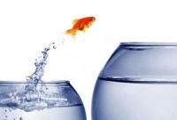 জীবন বদলে দেবে ছয়টি পরিবর্তন 