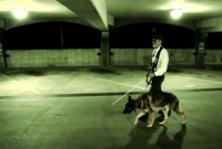 প্রতিভাবান ৬ দৃষ্টি প্রতিবন্ধী 