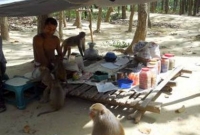 বানরের দোকান বনে 