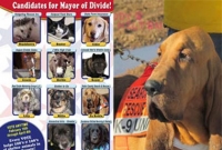 অবসরে বিড়াল, নতুন মেয়র কুকুর! 